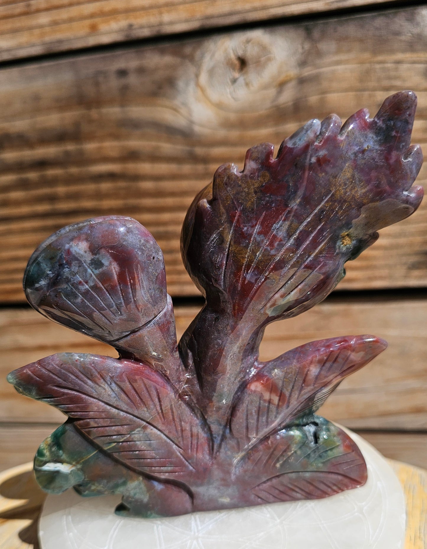 XL Ocean Jasper Venus Fly Trap #2