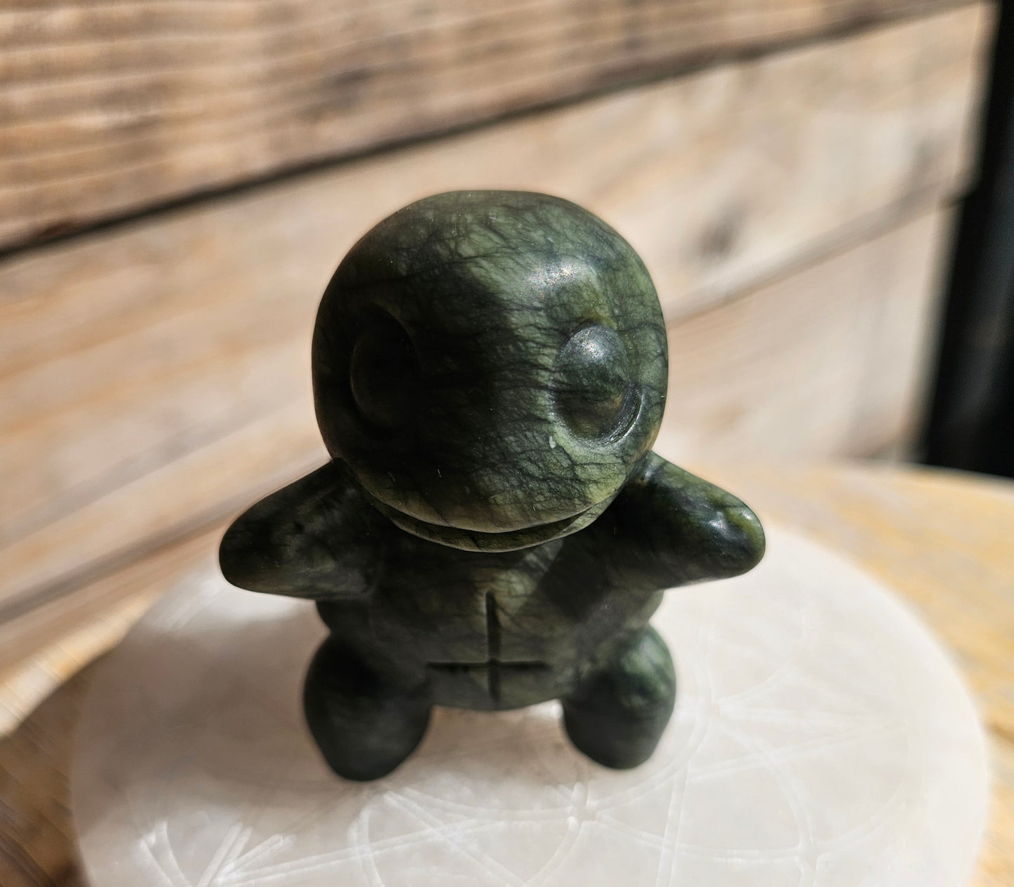 Green Jade Squirtle
