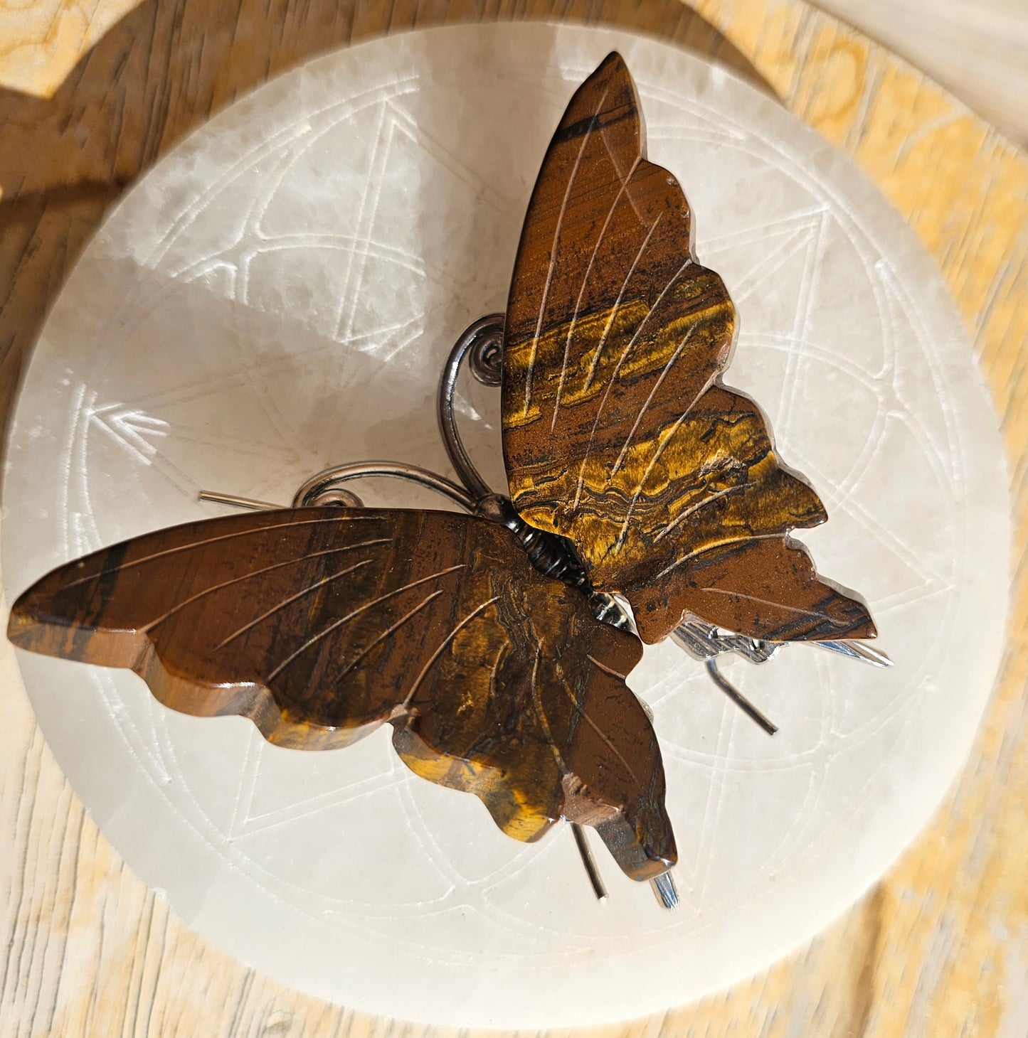 Tigers Eye Butterfly
