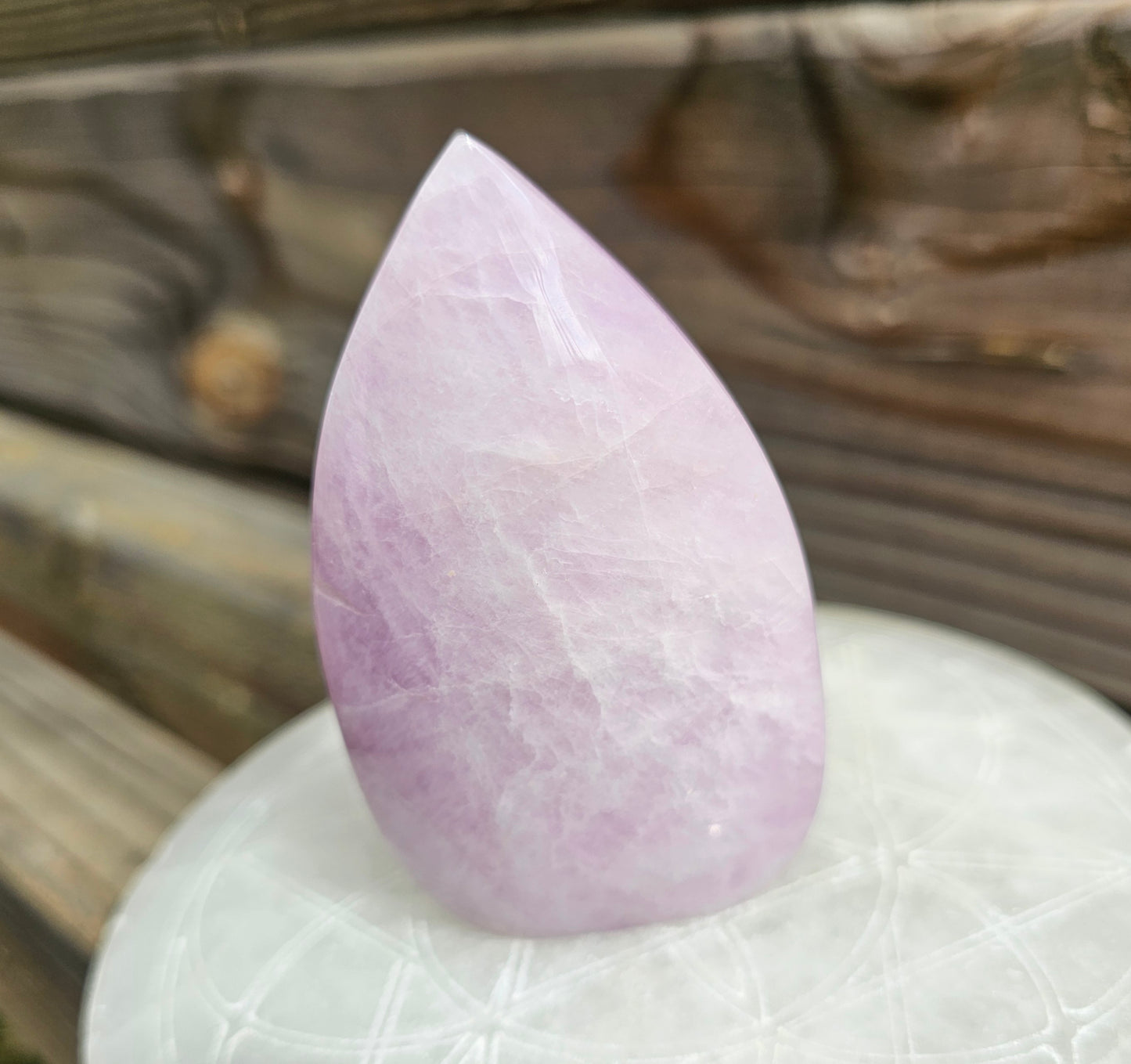 Kunzite Teardrop Freeform *C