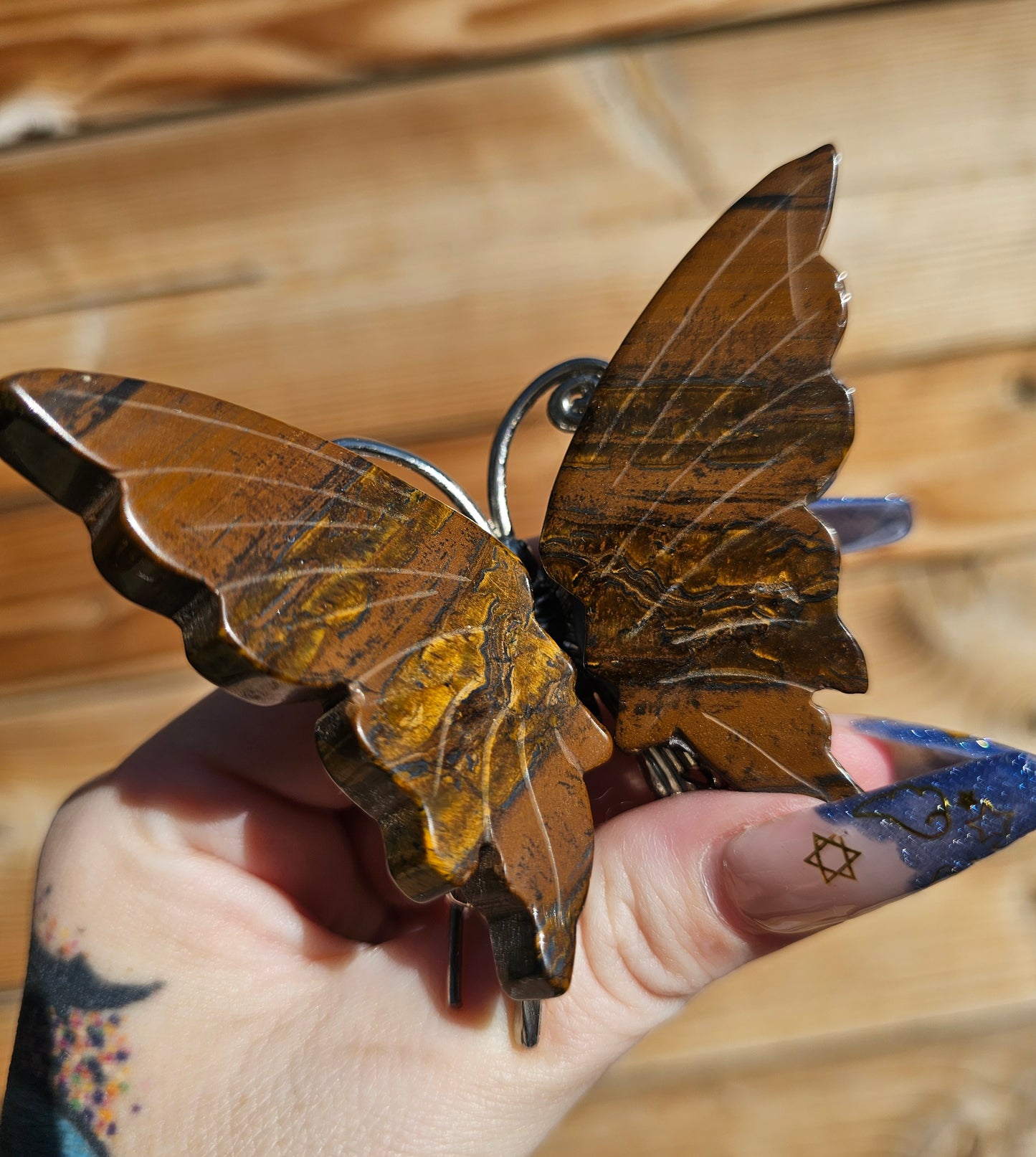 Tigers Eye Butterfly