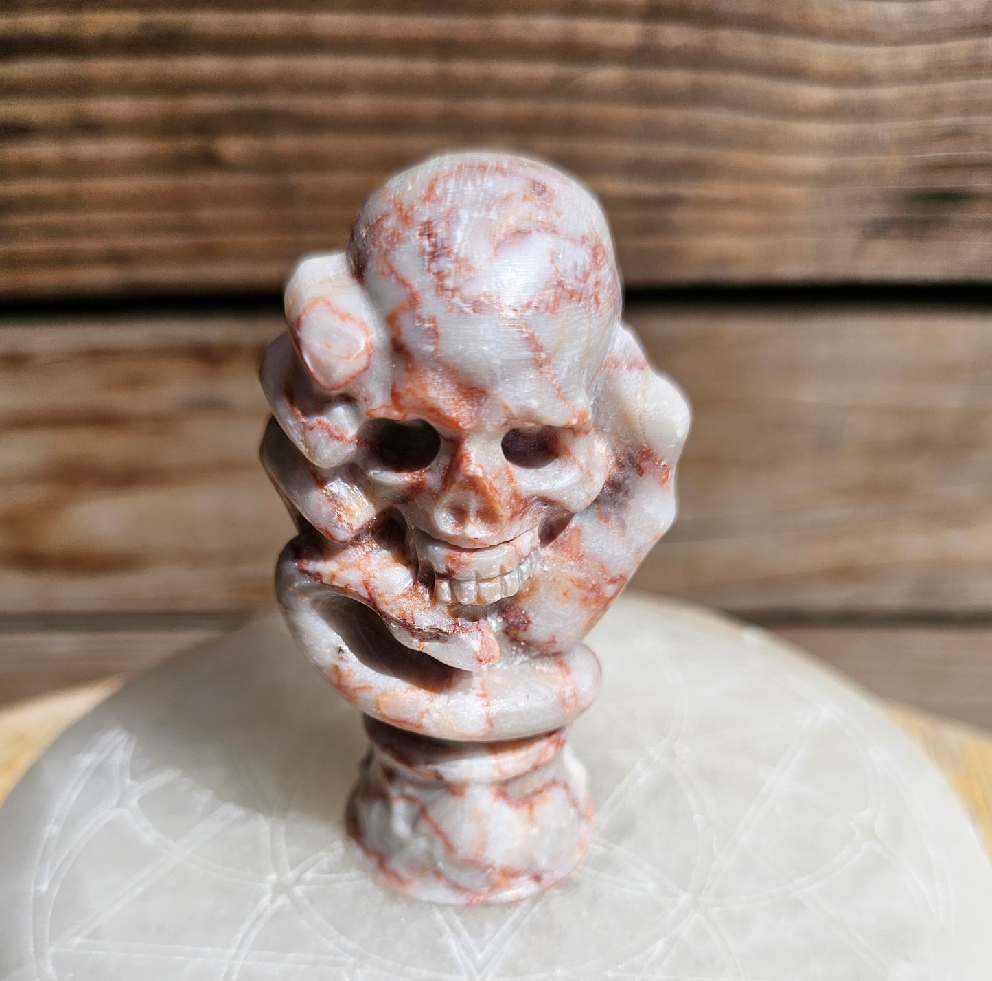 Red Vein Jasper Skull Hand