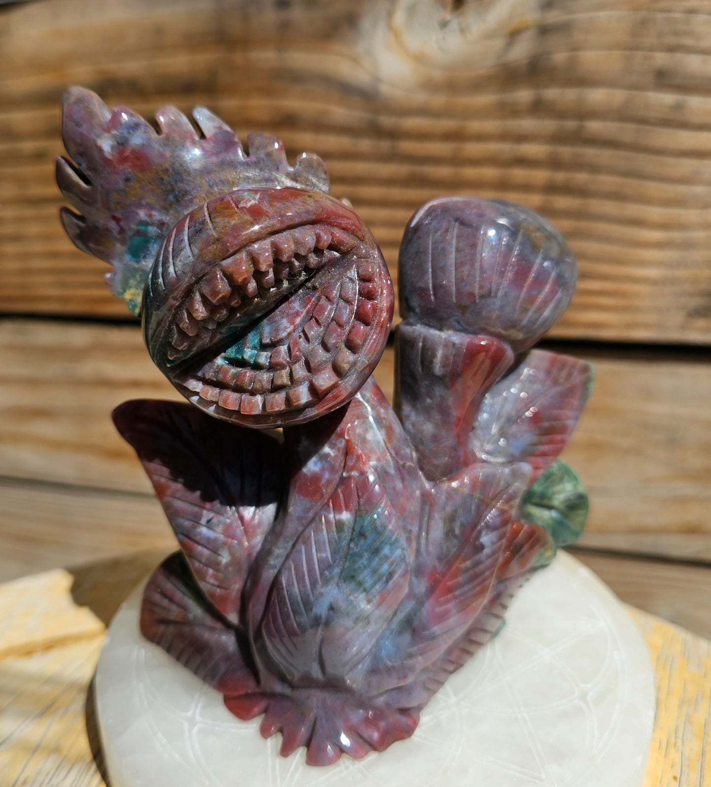 XL Ocean Jasper Venus Fly Trap #2