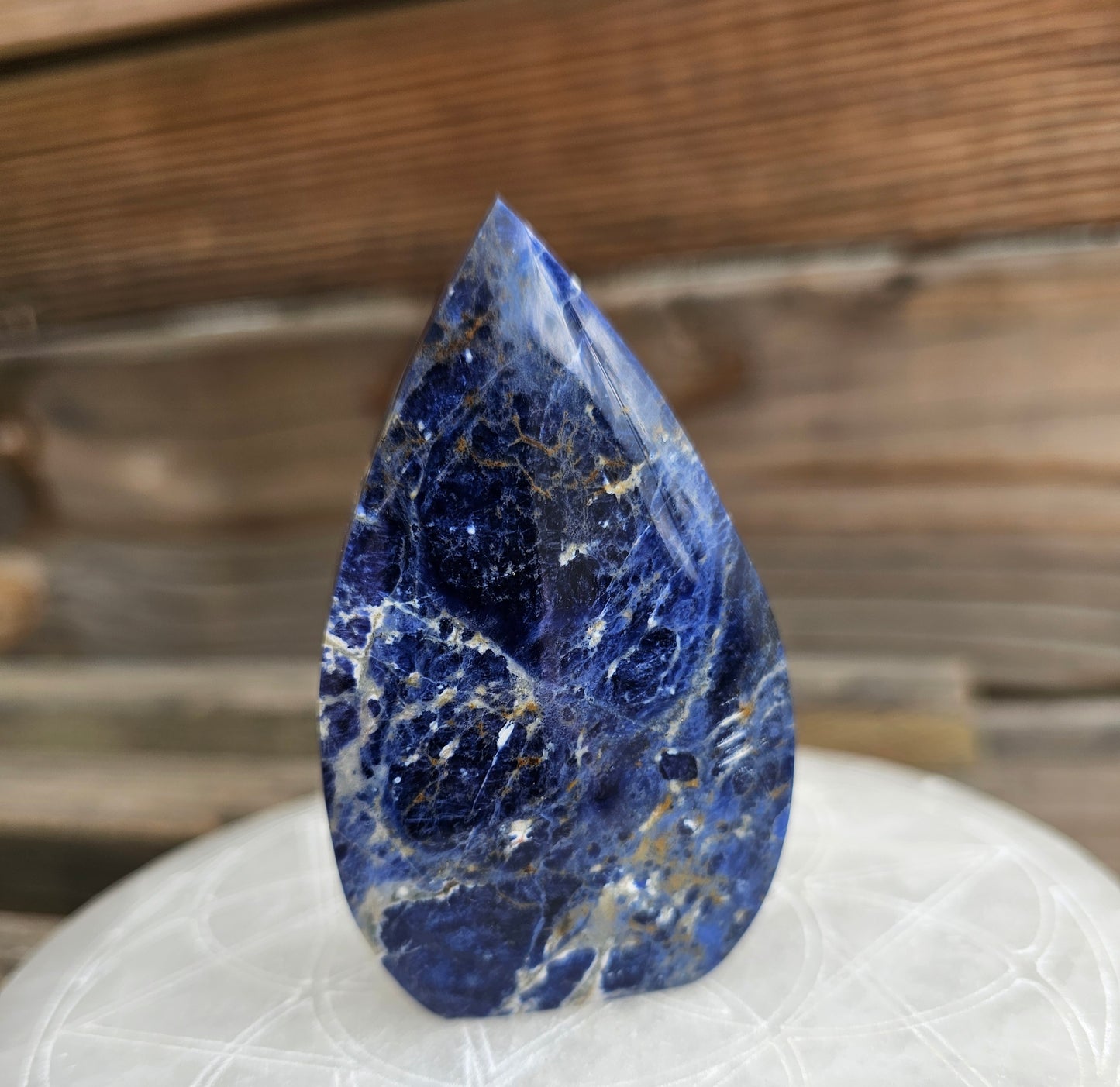 Sodalite Teardrop Freeform *C
