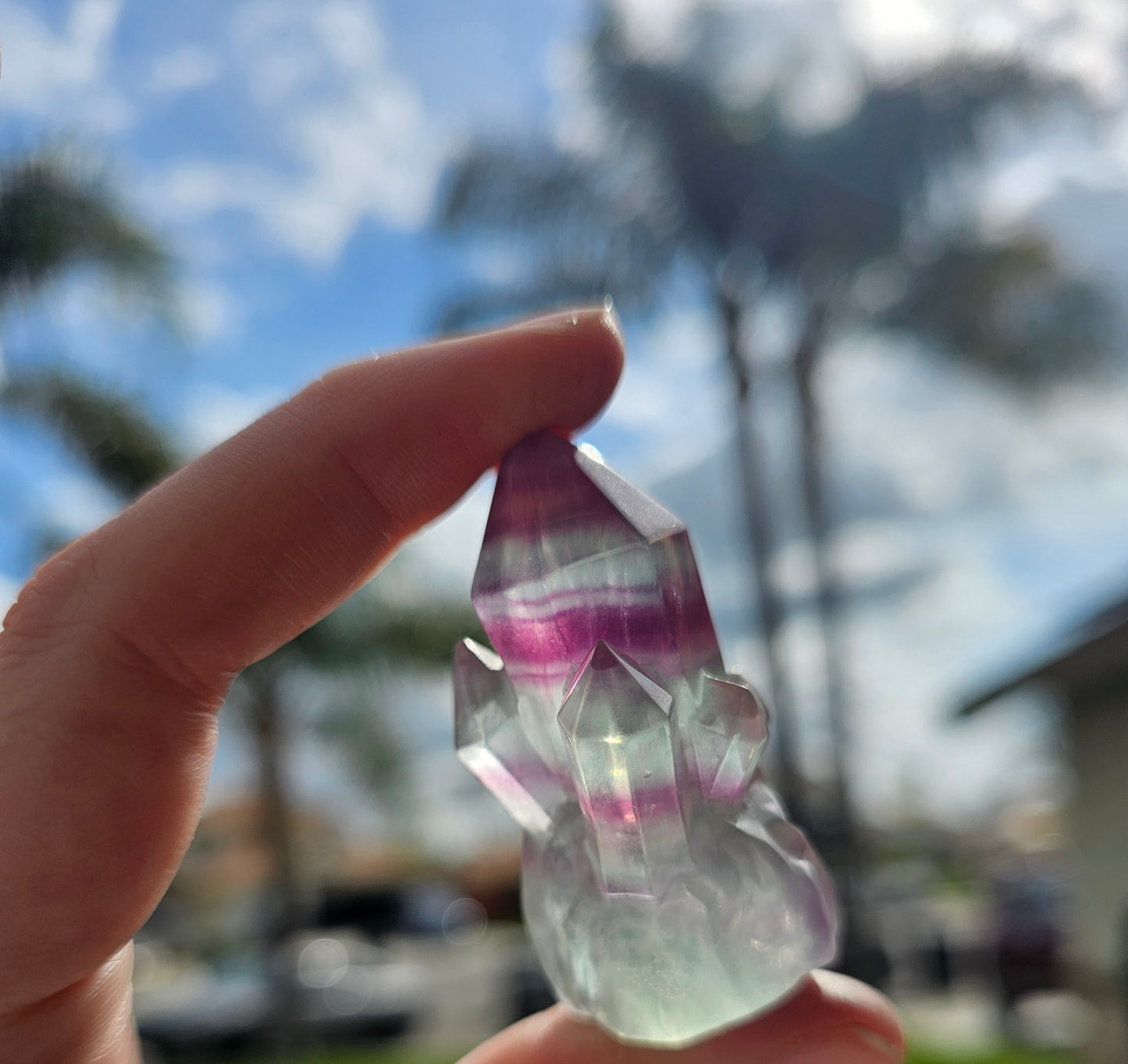 Candy Fluorite Cluster (1)