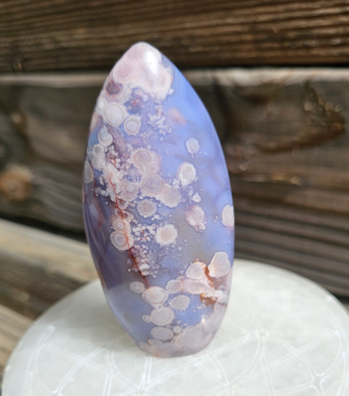 Blue Flower Agate Freeform *B