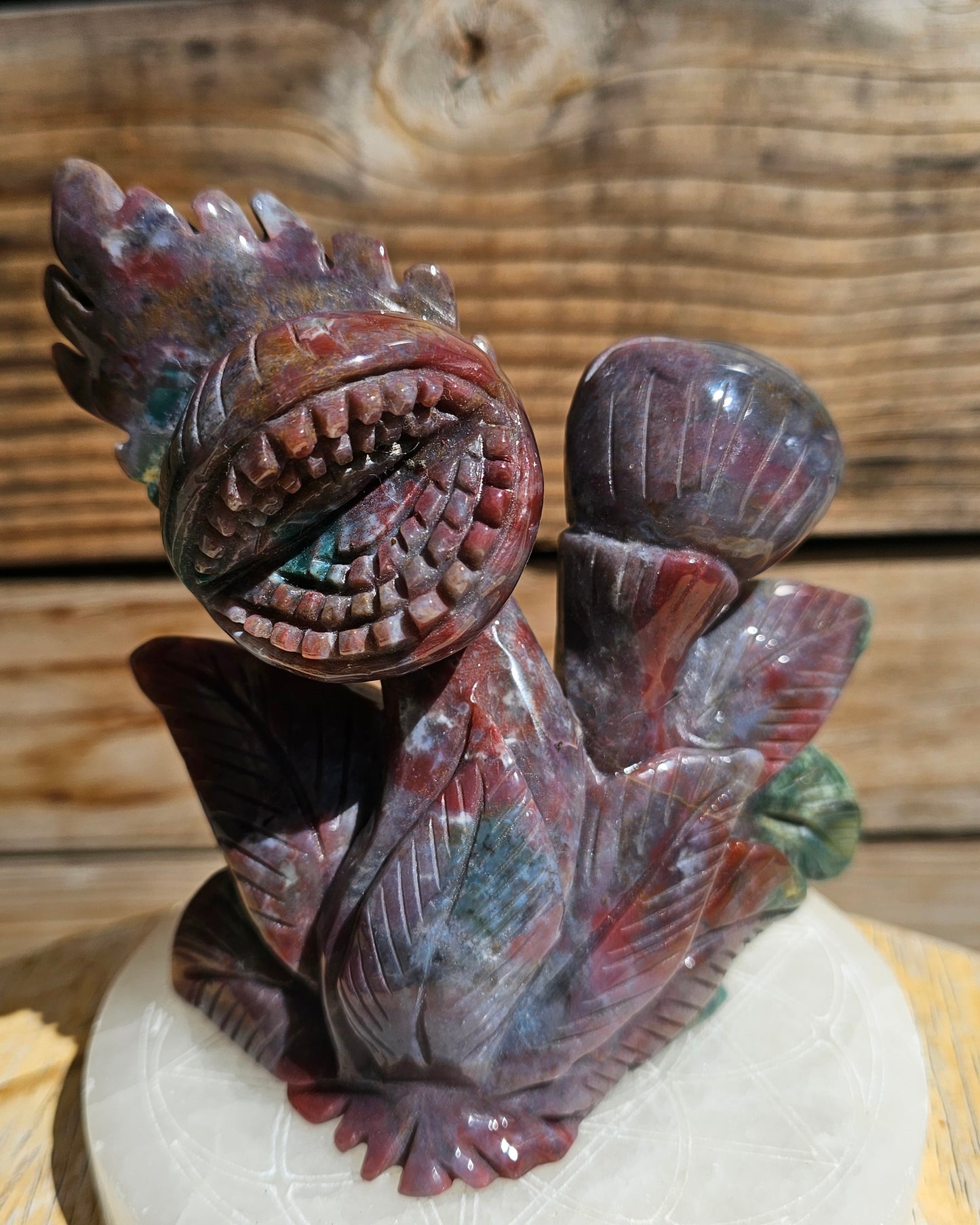 XL Ocean Jasper Venus Fly Trap #2