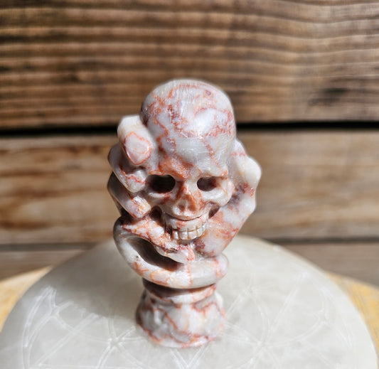 Red Vein Jasper Skull Hand