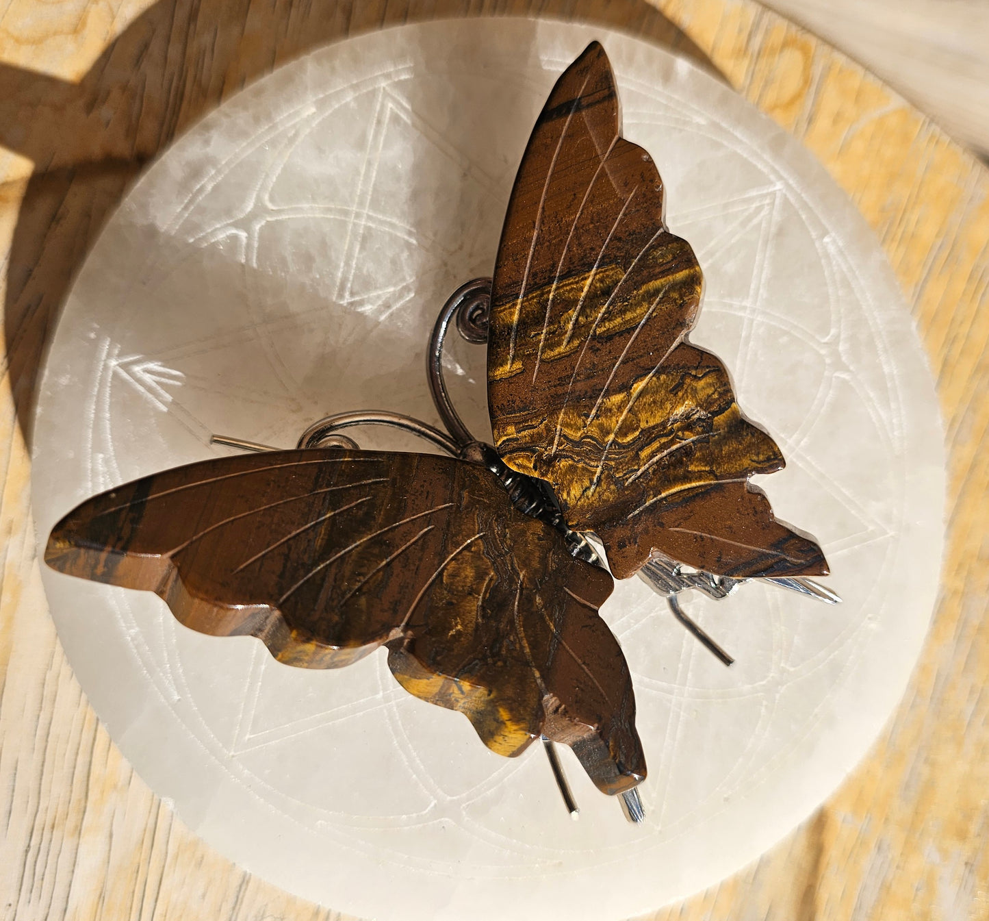 Tigers Eye Butterfly