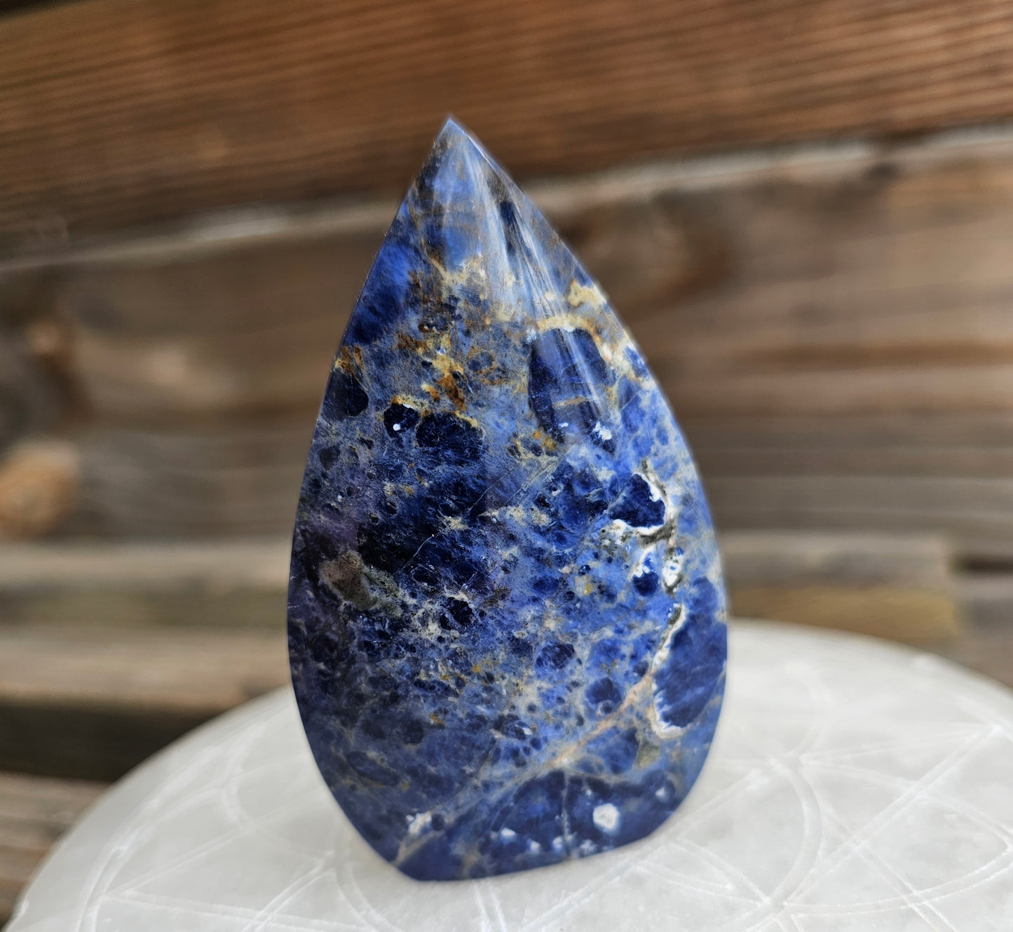 Sodalite Teardrop Freeform *C
