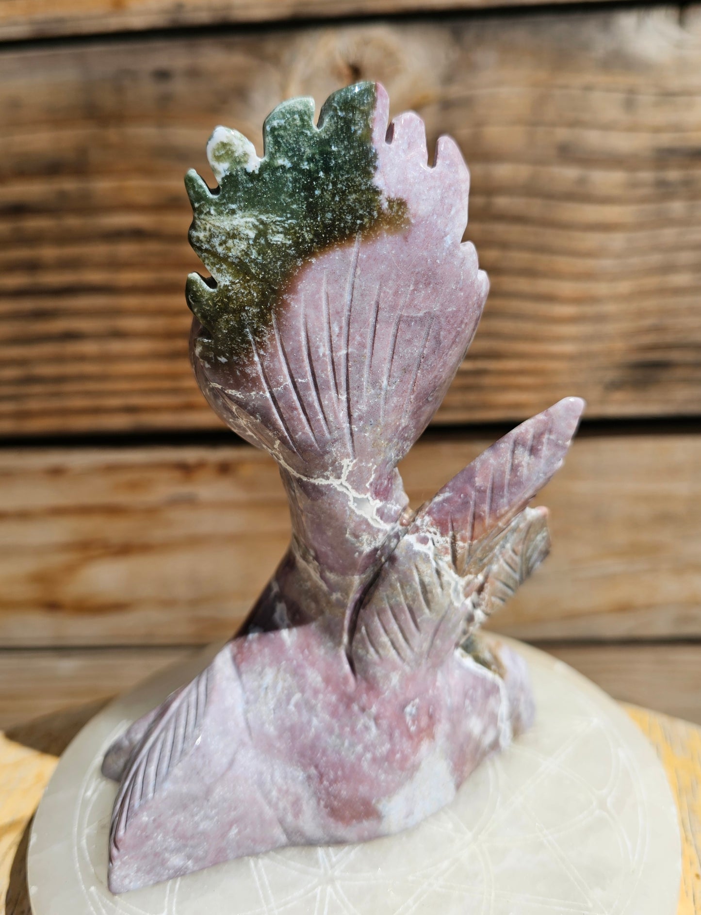XL Ocean Jasper Venus Fly Trap