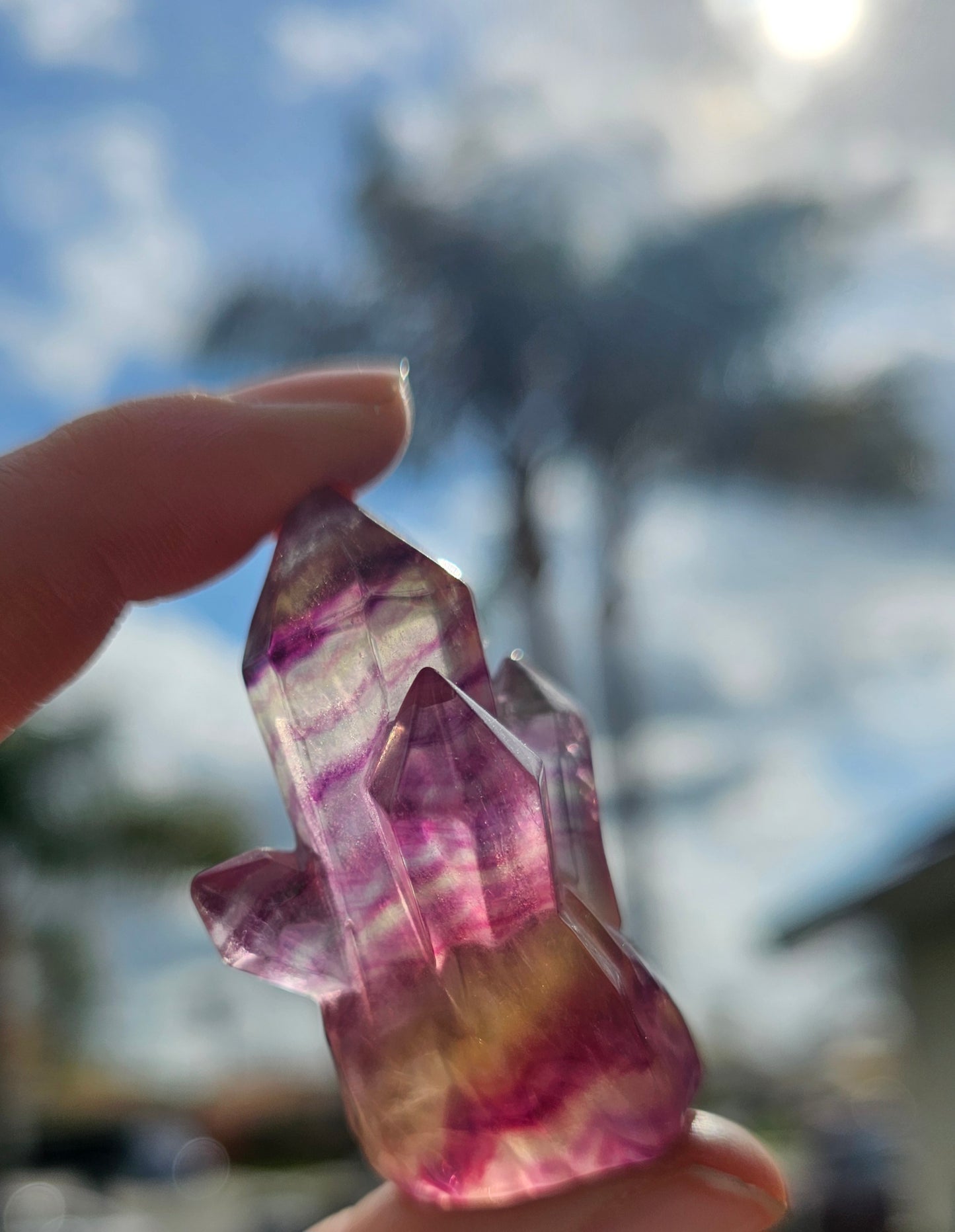 Candy Fluorite Cluster (1)
