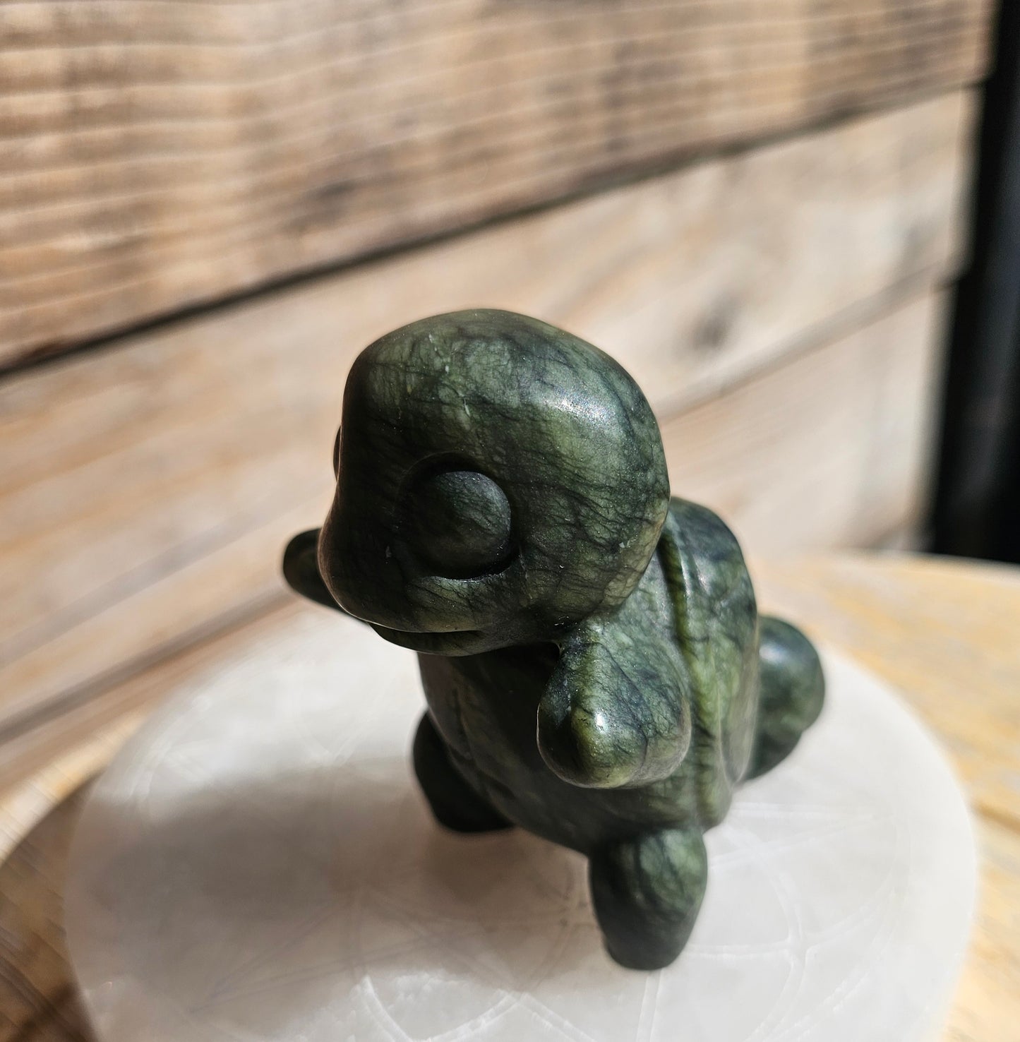 Green Jade Squirtle