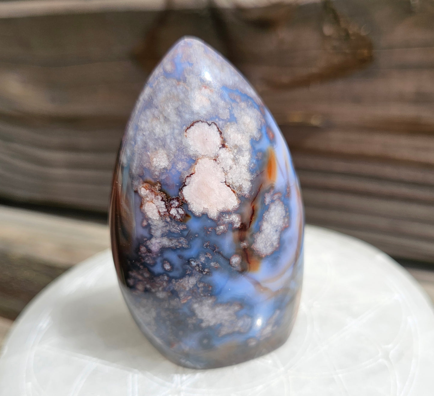 Blue Flower Agate Freeform *C