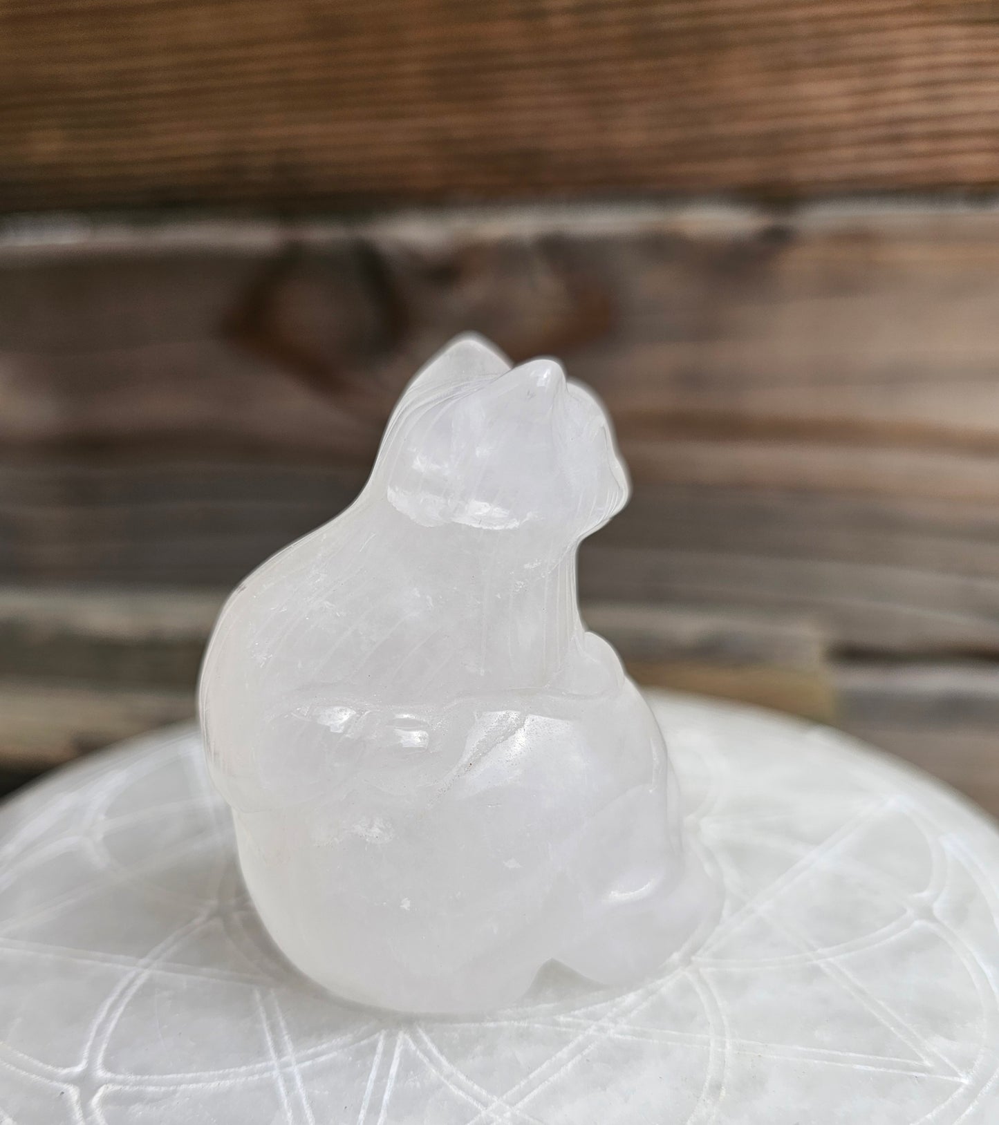 Milky Quartz Kitty Skull