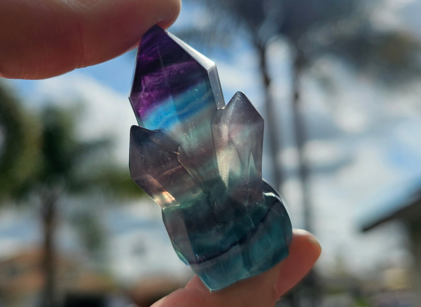 Candy Fluorite Cluster (1)