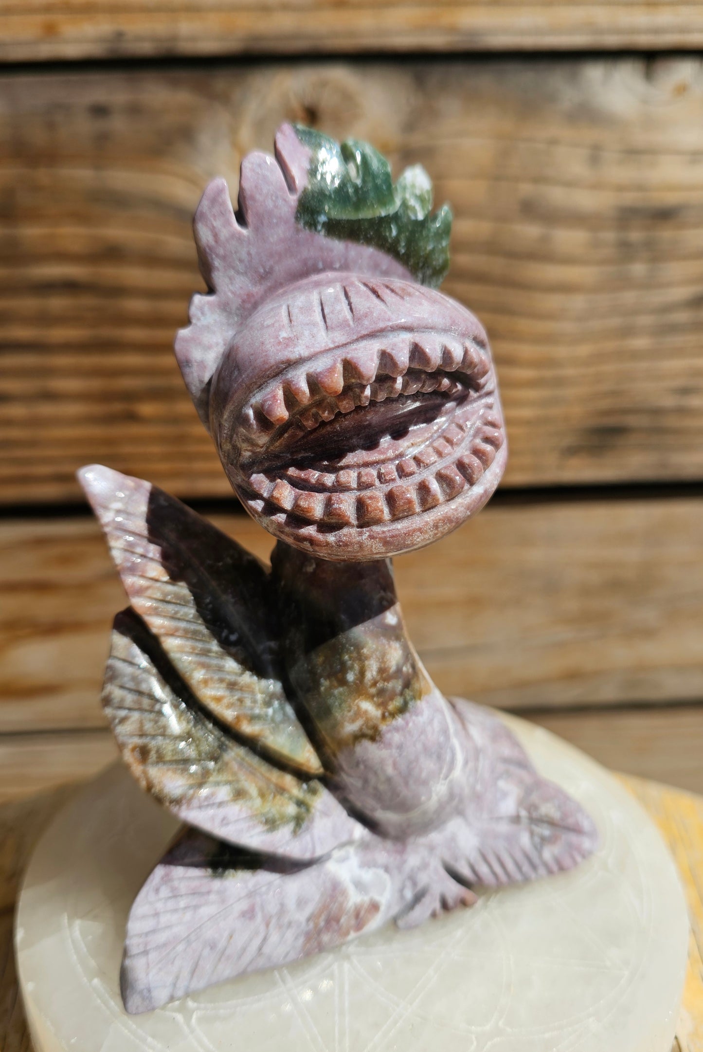 XL Ocean Jasper Venus Fly Trap