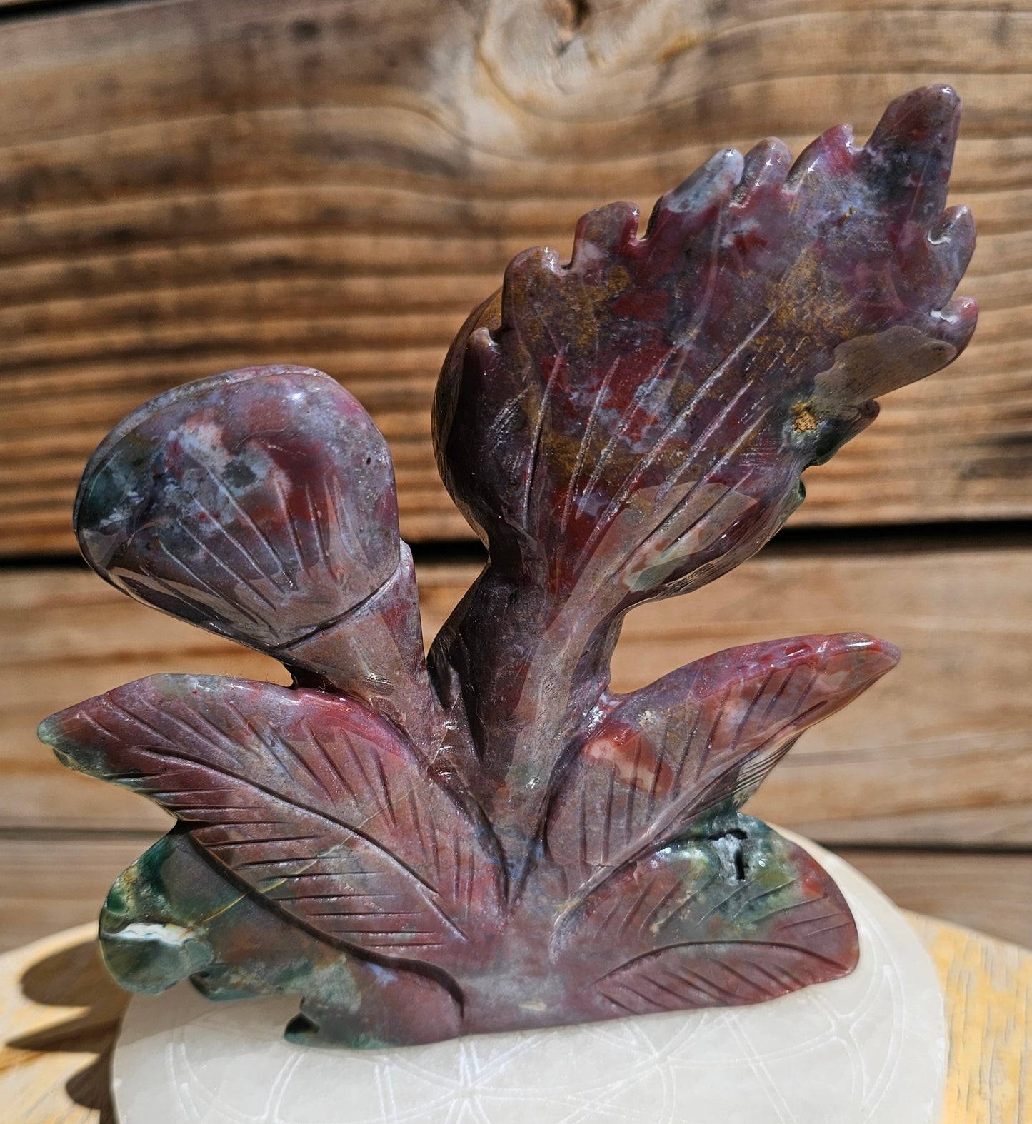 XL Ocean Jasper Venus Fly Trap #2