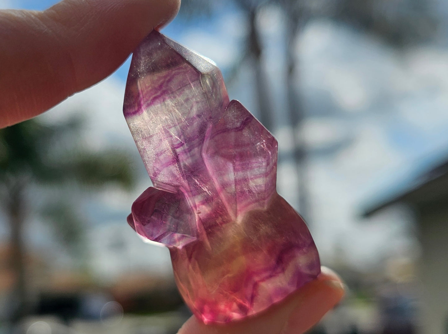 Candy Fluorite Cluster (1)
