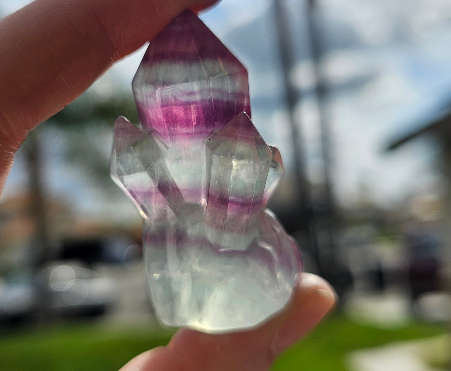 Candy Fluorite Cluster (1)