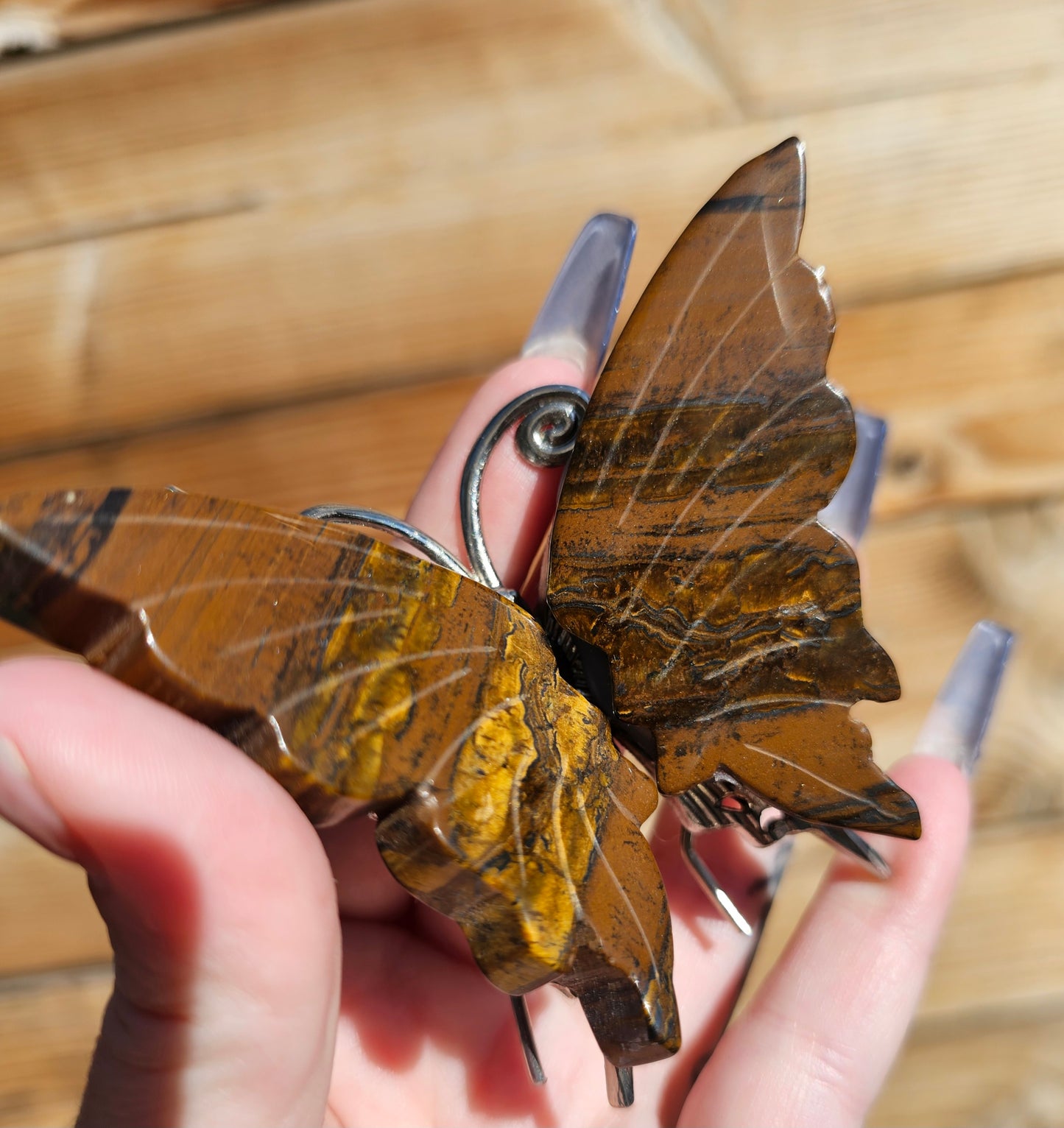 Tigers Eye Butterfly