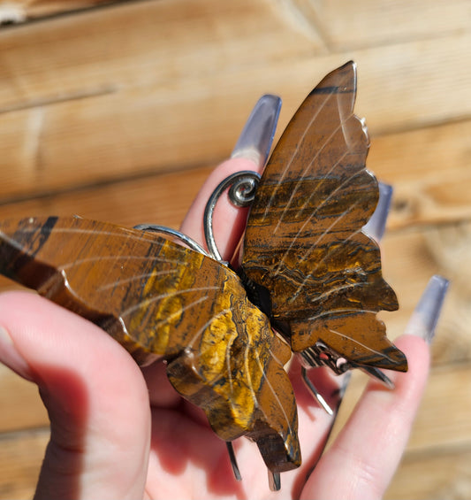 Tigers Eye Butterfly