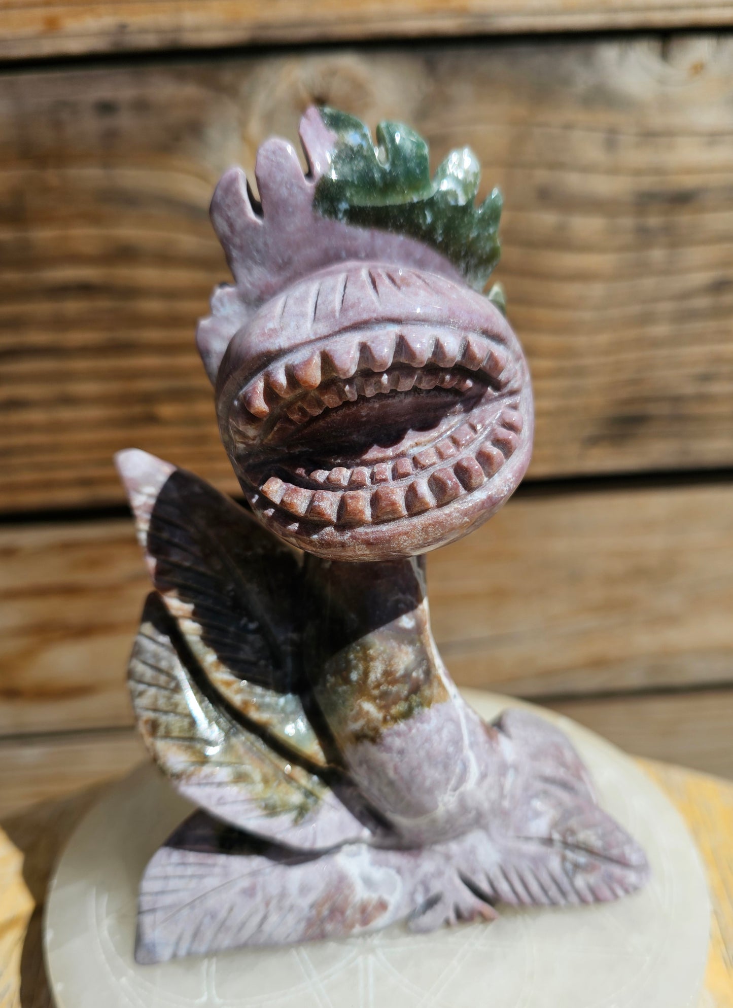 XL Ocean Jasper Venus Fly Trap