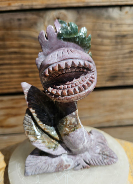 XL Ocean Jasper Venus Fly Trap