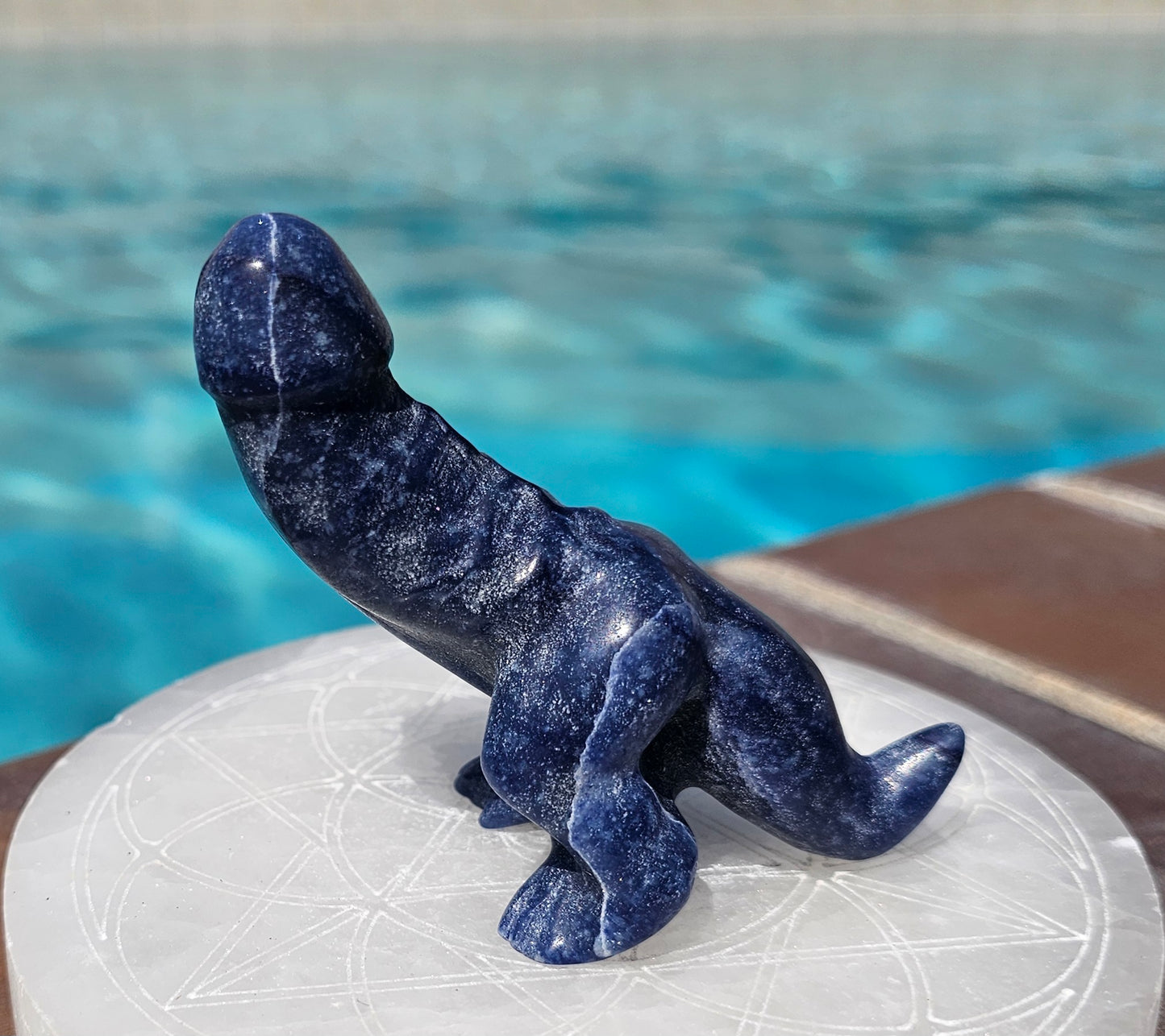 Monster Sodalite Dino