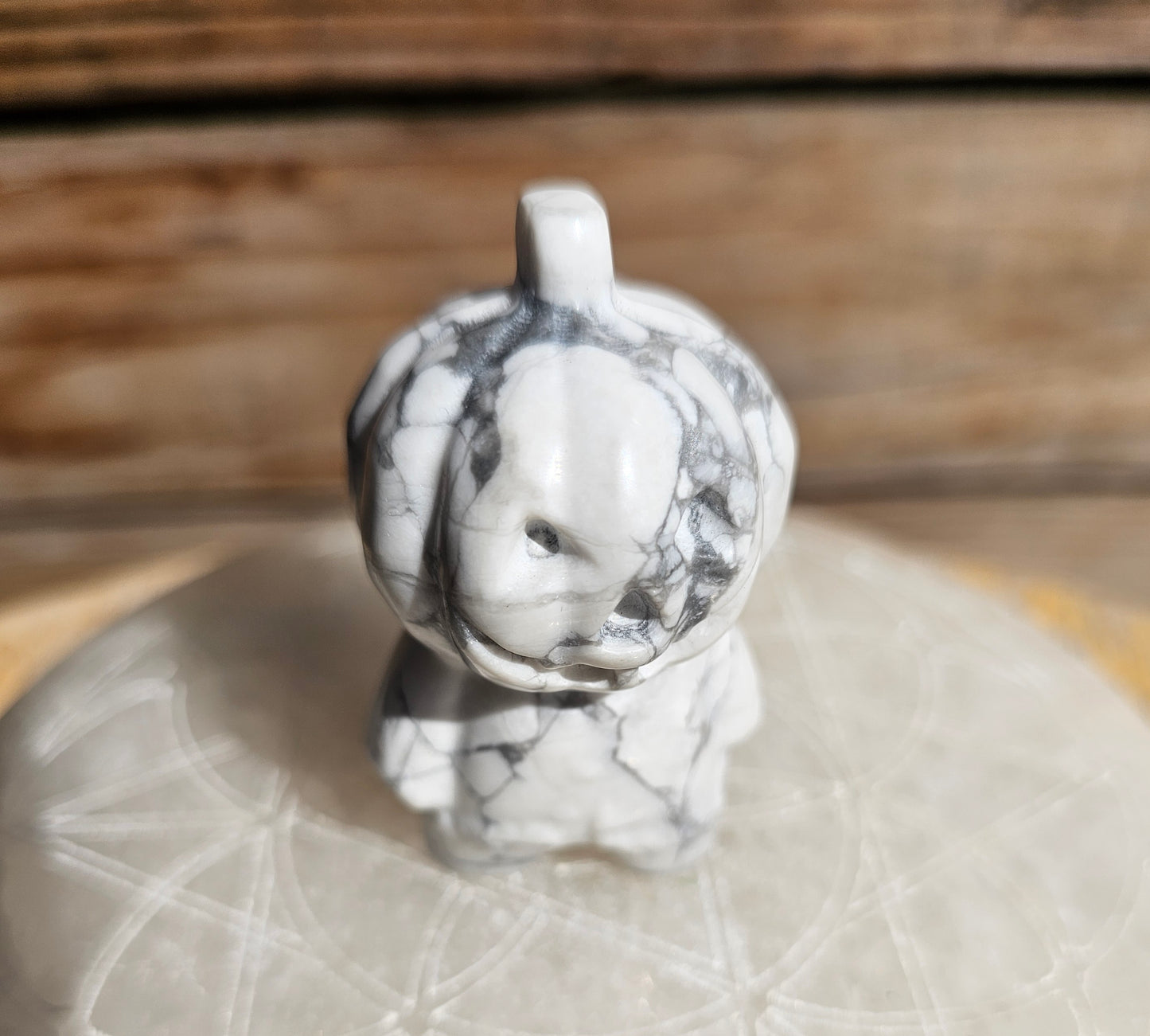 Howlite Pumpkin kid