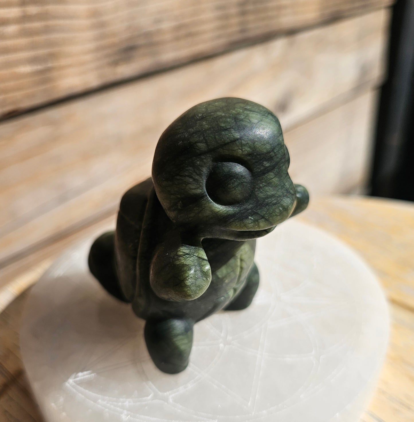Green Jade Squirtle