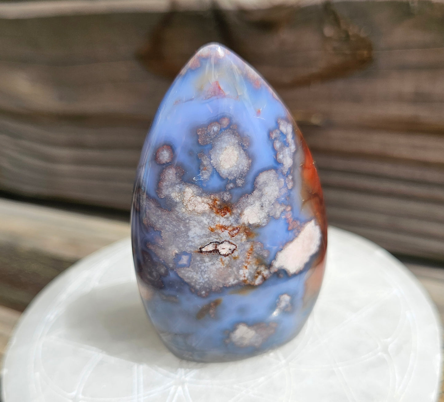 Blue Flower Agate Freeform *C